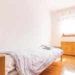 Casa de Férias Pet Friendly In *