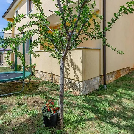 Pet Friendly Apartment In Pula * Pula